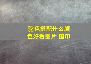 驼色搭配什么颜色好看图片 围巾